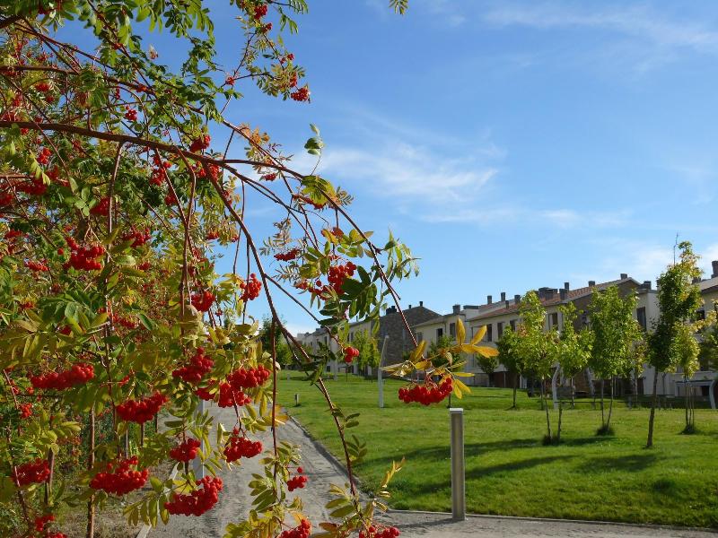 Imagen de alojamiento APARTMENTSUITESPAIN FORMIGAL ORDESA Jardín Imagen de alojamiento APARTMENTSUITESPAIN FORMIGAL ORDESA Jardín