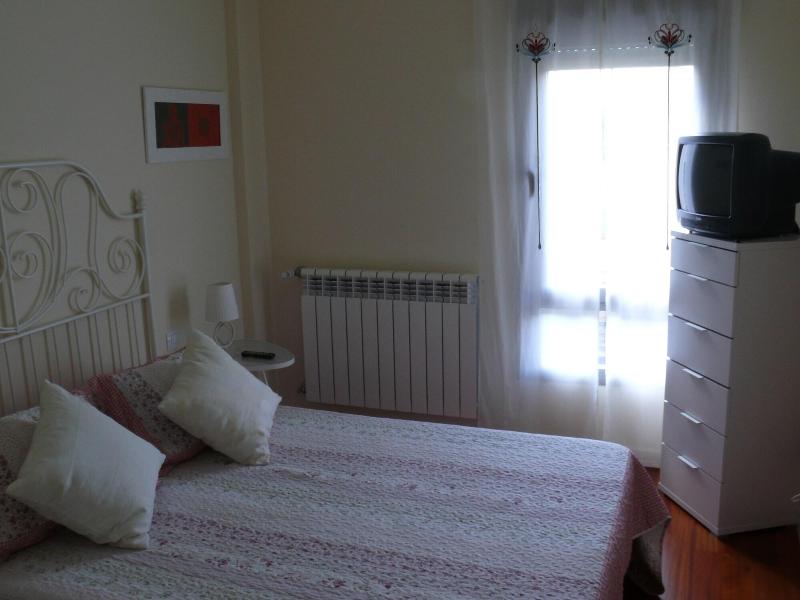 Imagen de alojamiento APARTMENTSUITESPAIN FORMIGAL ORDESA Jardín Imagen de alojamiento APARTMENTSUITESPAIN FORMIGAL ORDESA Jardín
