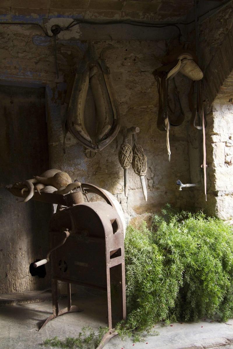 Imagen de alojamiento Can Barnosell - Els Masos d'en Coll Imagen de alojamiento Can Barnosell - Els Masos d'en Coll