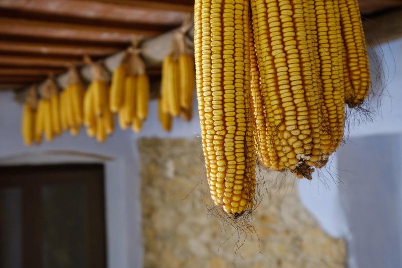 Imagen de alojamiento Can Barnosell - Els Masos d'en Coll Imagen de alojamiento Can Barnosell - Els Masos d'en Coll