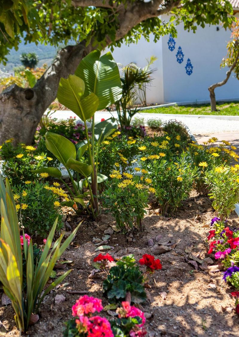 Imagen de alojamiento The Palms Boutique Resort Malaga - Adults Only Imagen de alojamiento The Palms Boutique Resort Malaga - Adults Only
