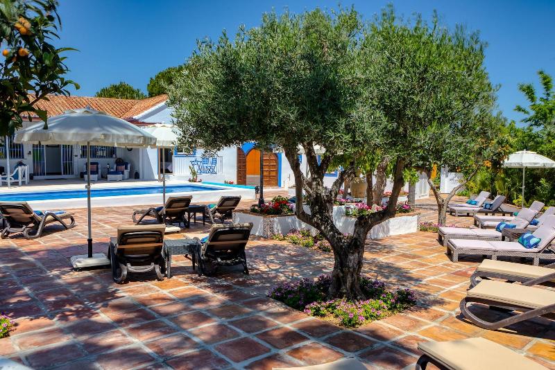 Imagen de alojamiento The Palms Boutique Resort Malaga - Adults Only Imagen de alojamiento The Palms Boutique Resort Malaga - Adults Only