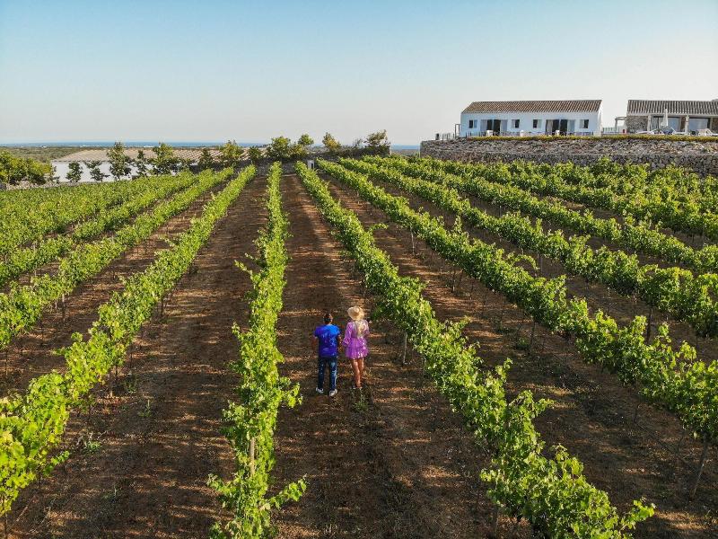 Imagen de alojamiento Agroturismo Llucasaldent Gran Menorca - Adults onl Imagen de alojamiento Agroturismo Llucasaldent Gran Menorca - Adults onl