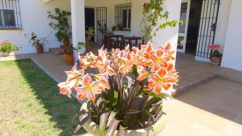 Imagen de alojamiento Casa Fina Hotel Rural - Adults Only Imagen de alojamiento Casa Fina Hotel Rural - Adults Only