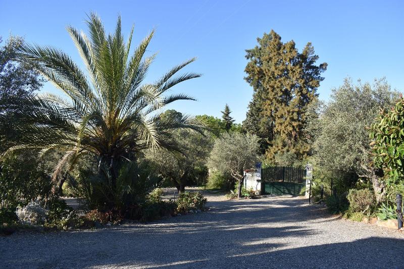 Imagen de alojamiento B&B Casa Palmera - Adults Only Imagen de alojamiento B&B Casa Palmera - Adults Only