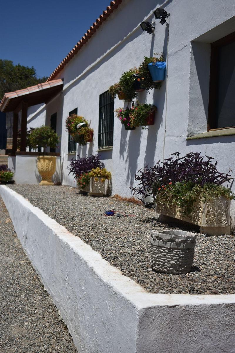 Imagen de alojamiento B&B Casa Palmera - Adults Only Imagen de alojamiento B&B Casa Palmera - Adults Only