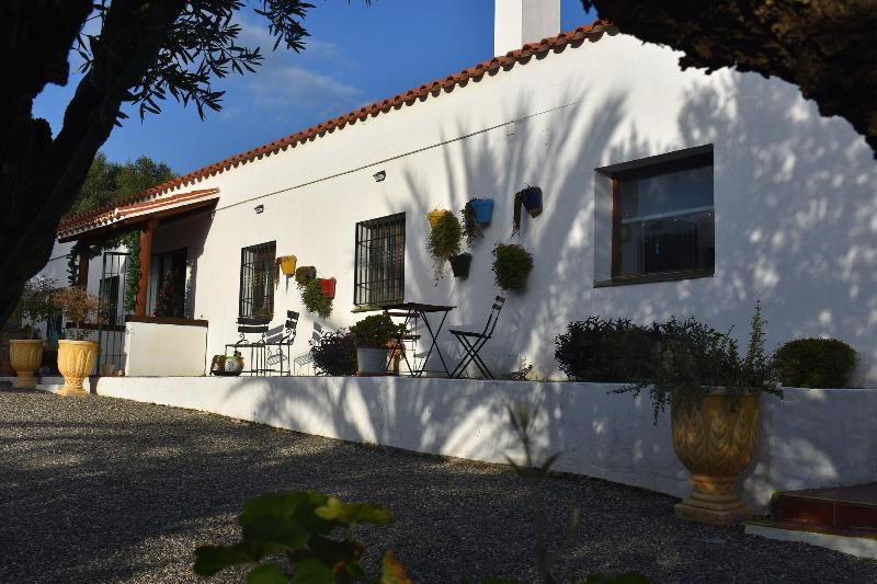 Imagen de alojamiento B&B Casa Palmera - Adults Only Imagen de alojamiento B&B Casa Palmera - Adults Only