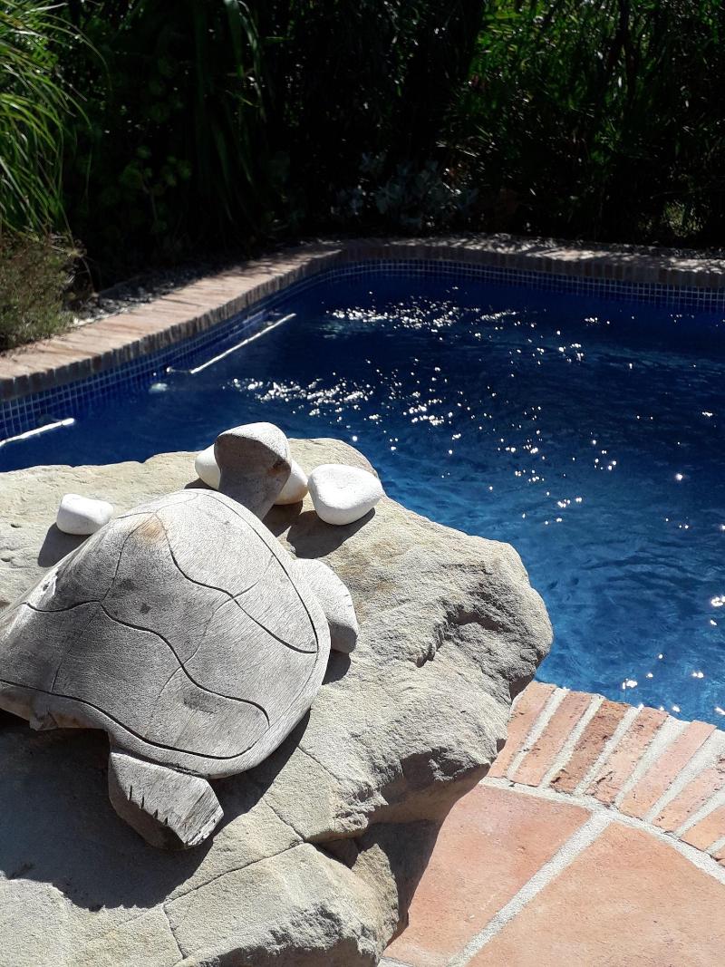Imagen de alojamiento B&B Casa Palmera - Adults Only Imagen de alojamiento B&B Casa Palmera - Adults Only