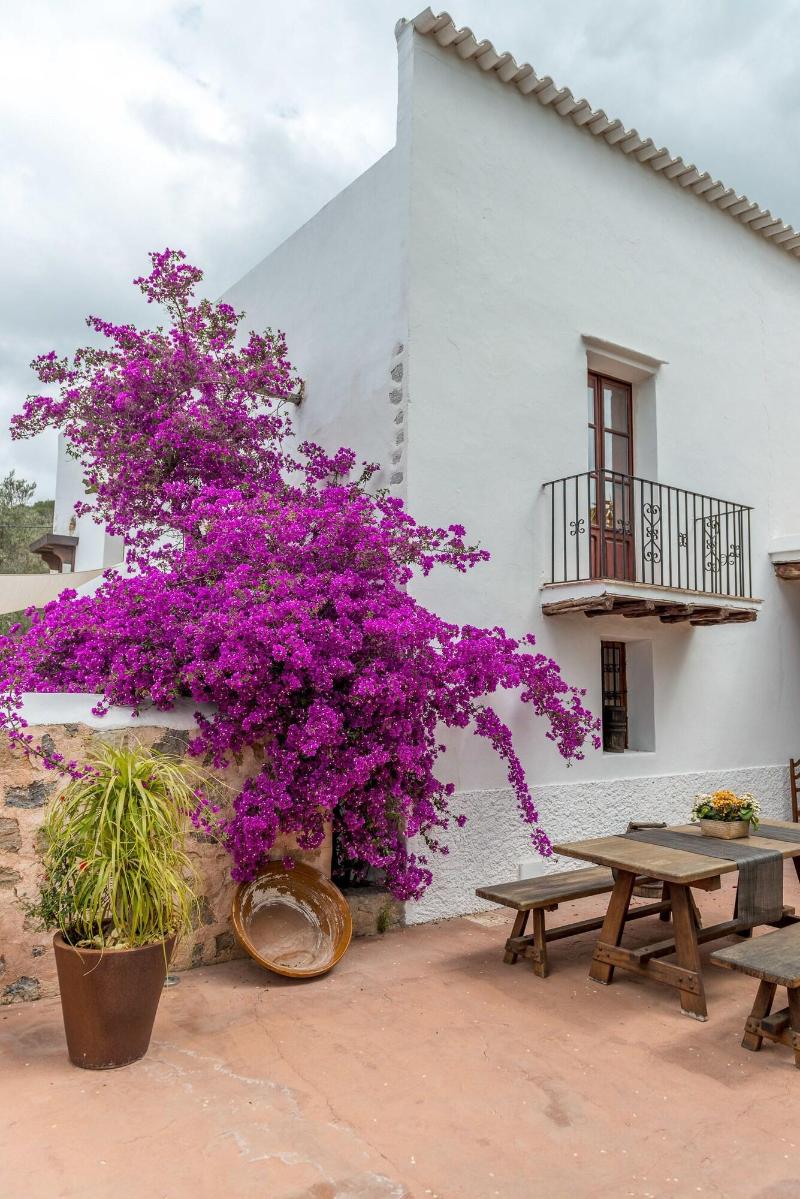 Imagen de alojamiento Agroturismo Can Pere Sord Imagen de alojamiento Agroturismo Can Pere Sord