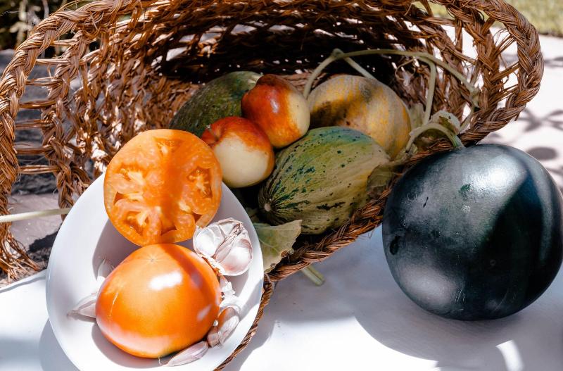 Imagen de alojamiento Agroturismo Can Pere Sord Imagen de alojamiento Agroturismo Can Pere Sord