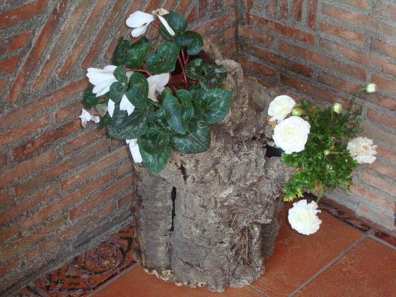 Imagen de alojamiento Hotel Rural La Llosa De Samano Imagen de alojamiento Hotel Rural La Llosa De Samano