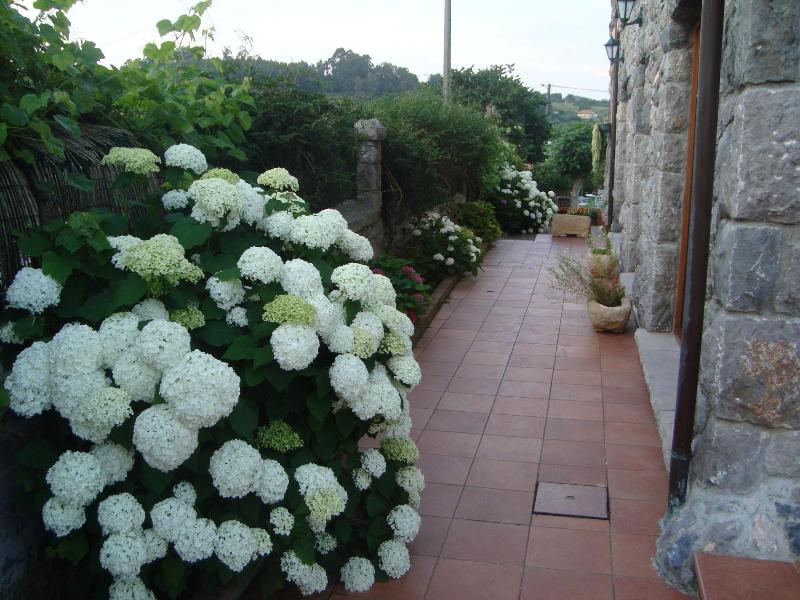 Imagen de alojamiento Hotel Rural La Llosa De Samano Imagen de alojamiento Hotel Rural La Llosa De Samano