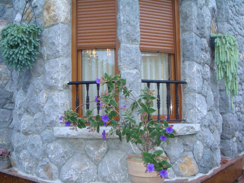 Imagen de alojamiento Hotel Rural La Llosa De Samano Imagen de alojamiento Hotel Rural La Llosa De Samano