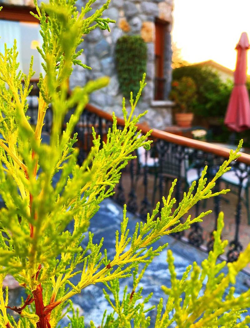 Imagen de alojamiento Hotel Rural La Llosa De Samano Imagen de alojamiento Hotel Rural La Llosa De Samano
