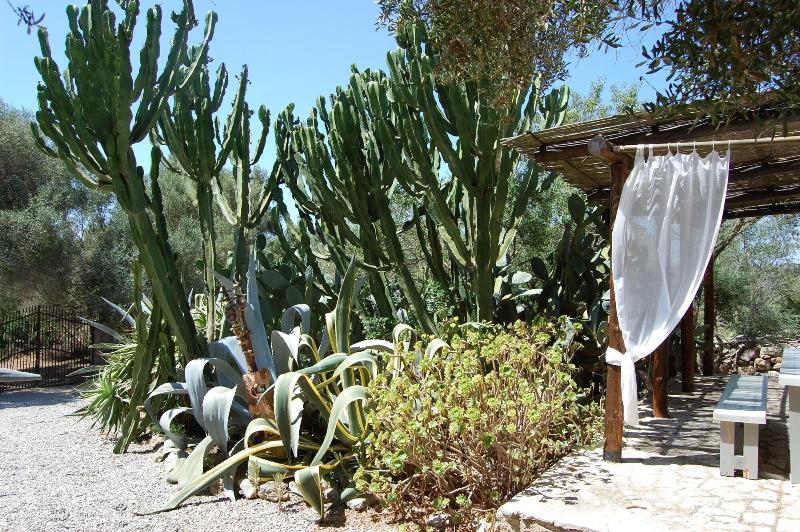 Imagen de alojamiento Finca Can Duvai Mallorca Imagen de alojamiento Finca Can Duvai Mallorca