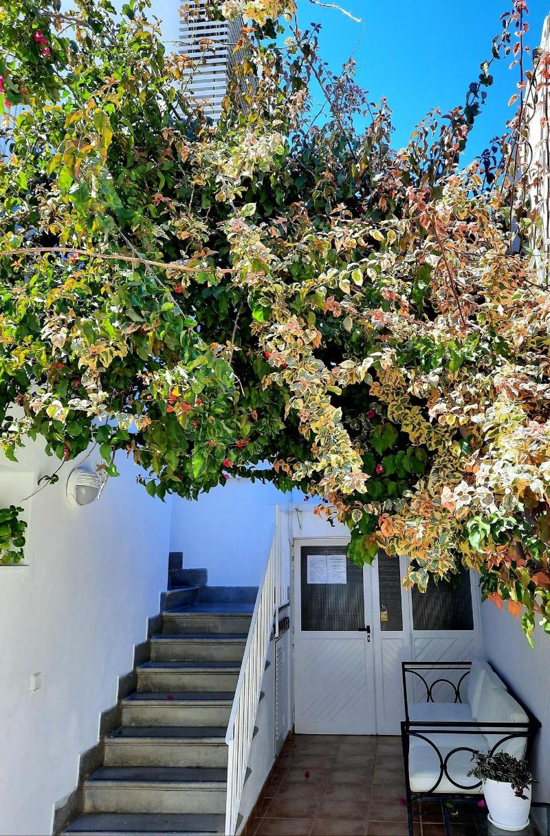 Imagen de alojamiento Hostal Costa Ibiza Imagen de alojamiento Hostal Costa Ibiza