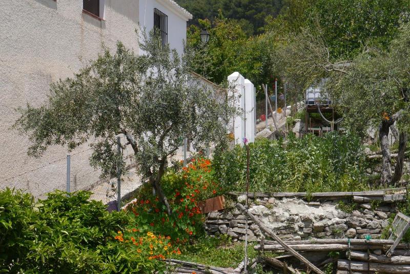 Imagen de alojamiento El Molino Del Abuelo Imagen de alojamiento El Molino Del Abuelo