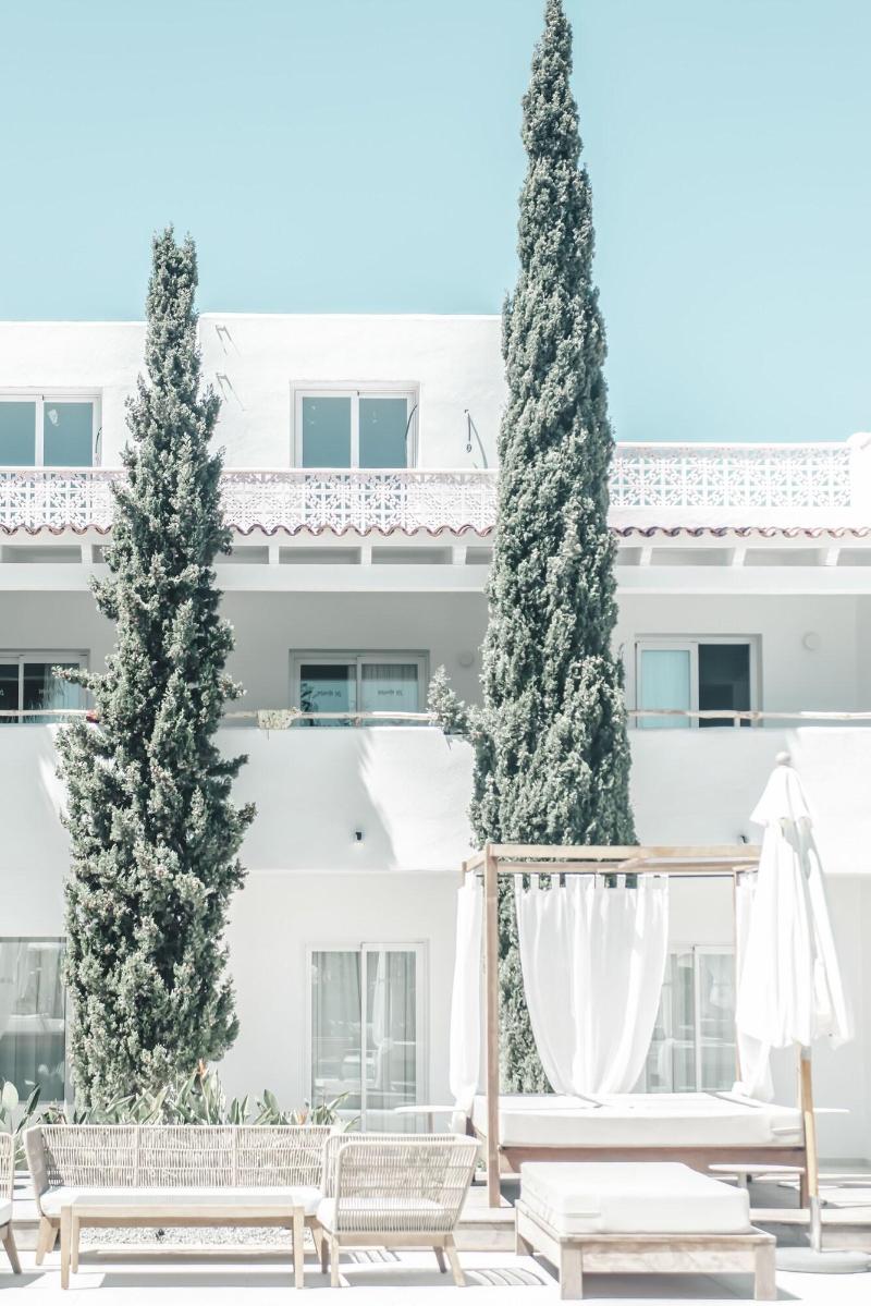 Imagen de alojamiento Hotel Boutique & Spa Las Mimosas Ibiza Imagen de alojamiento Hotel Boutique & Spa Las Mimosas Ibiza