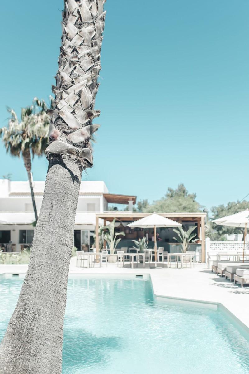 Imagen de alojamiento Hotel Boutique & Spa Las Mimosas Ibiza Imagen de alojamiento Hotel Boutique & Spa Las Mimosas Ibiza