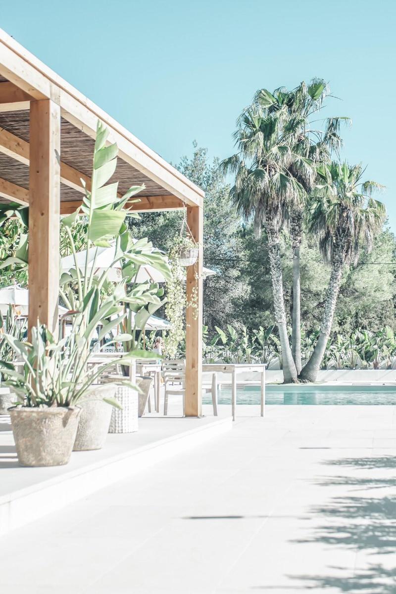 Imagen de alojamiento Hotel Boutique & Spa Las Mimosas Ibiza Imagen de alojamiento Hotel Boutique & Spa Las Mimosas Ibiza