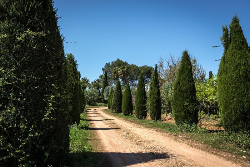 Imagen de alojamiento Finca Son Miranda Imagen de alojamiento Finca Son Miranda