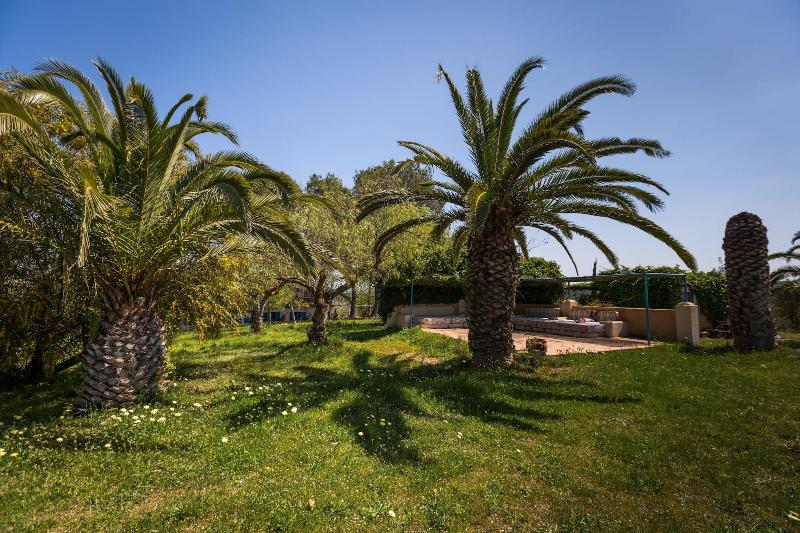 Imagen de alojamiento Finca Son Miranda Imagen de alojamiento Finca Son Miranda