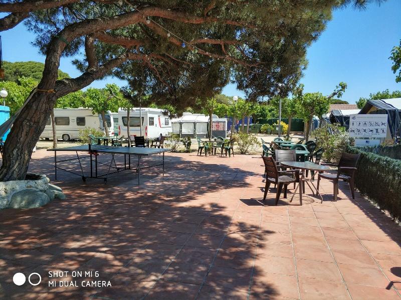 Imagen de alojamiento Camping El Pinar Platja Imagen de alojamiento Camping El Pinar Platja