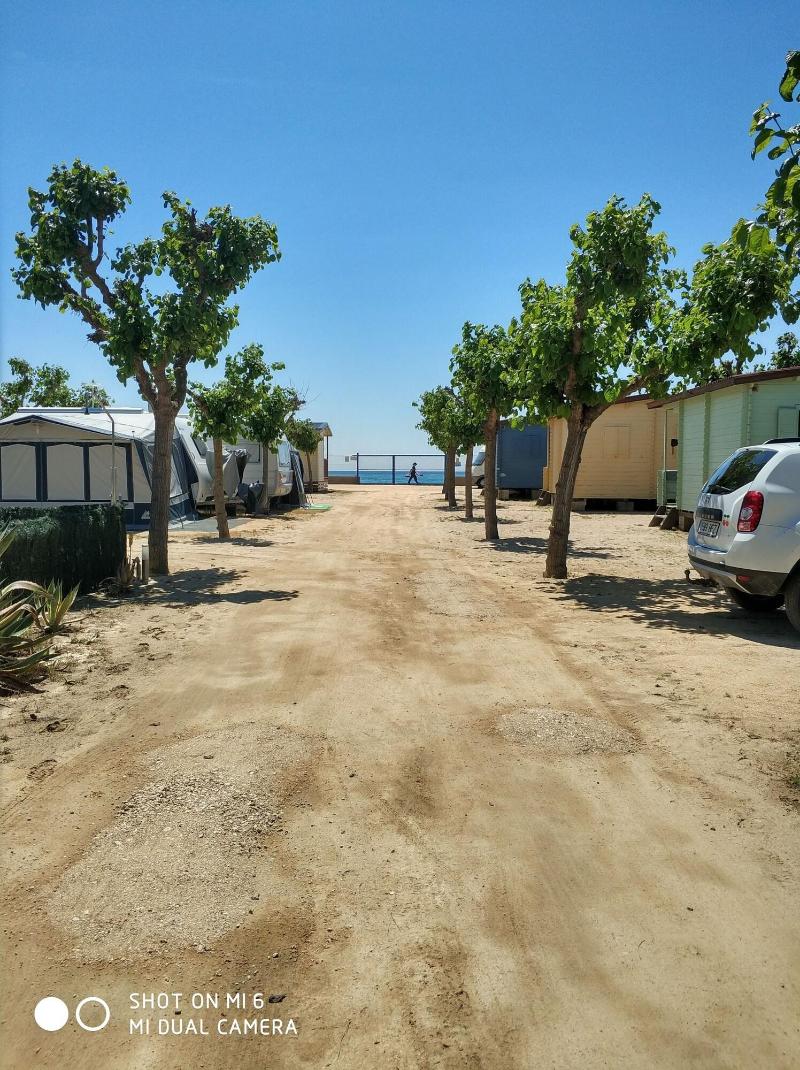 Imagen de alojamiento Camping El Pinar Platja Imagen de alojamiento Camping El Pinar Platja