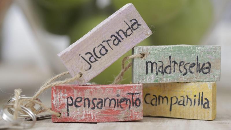Imagen de alojamiento Alojamiento Rural El Pinsapo Imagen de alojamiento Alojamiento Rural El Pinsapo