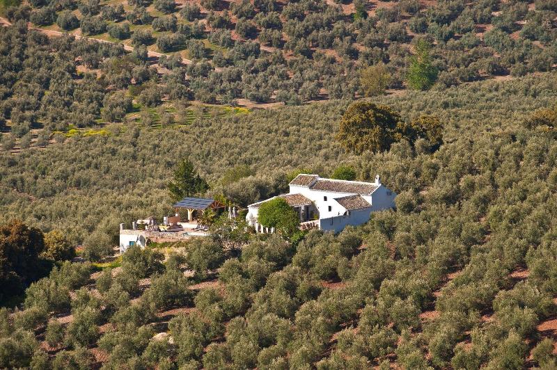 Imagen de alojamiento Cortijo La Haza Imagen de alojamiento Cortijo La Haza