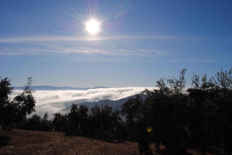 Imagen de alojamiento Cortijo La Haza Imagen de alojamiento Cortijo La Haza