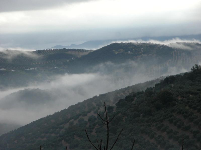Imagen de alojamiento Cortijo La Haza Imagen de alojamiento Cortijo La Haza