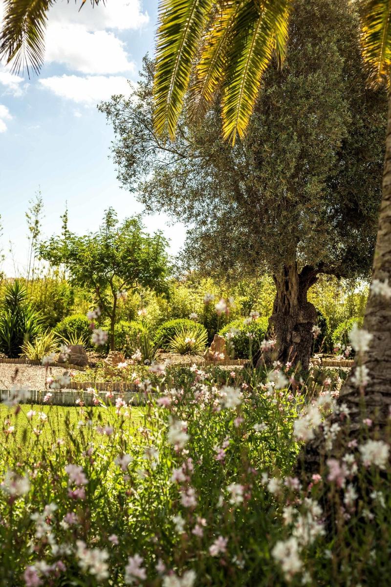 Imagen de alojamiento Boutique Hotel Ibizazen Imagen de alojamiento Boutique Hotel Ibizazen