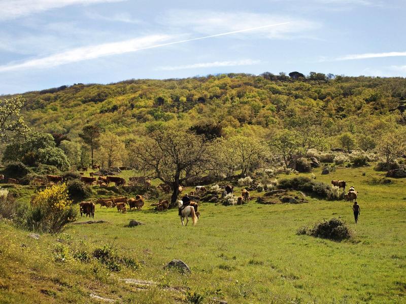 Imagen de alojamiento Finca El Cabezo Imagen de alojamiento Finca El Cabezo