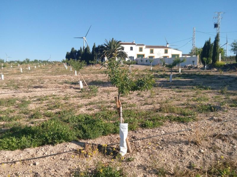 Imagen de alojamiento Alojamiento Rural El Oregano Imagen de alojamiento Alojamiento Rural El Oregano