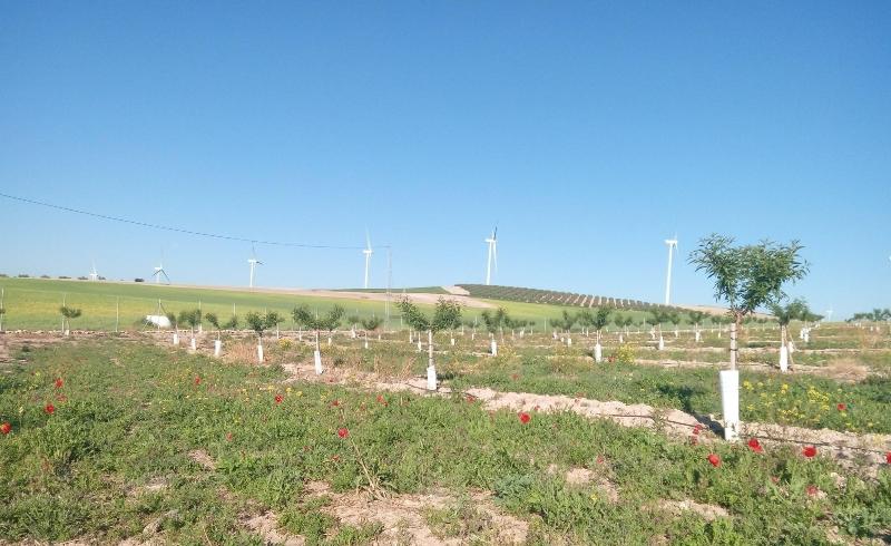 Imagen de alojamiento Alojamiento Rural El Oregano Imagen de alojamiento Alojamiento Rural El Oregano