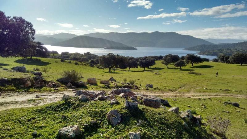 Imagen de alojamiento La Cerca Del Alcornoque Imagen de alojamiento La Cerca Del Alcornoque
