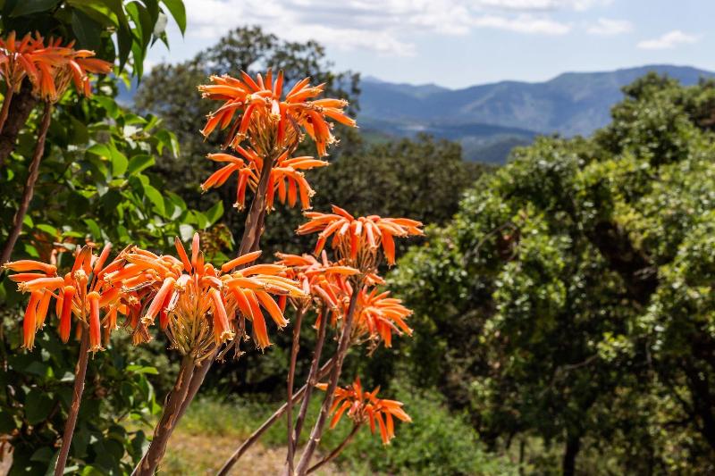 Imagen de alojamiento Restaurante Alojamiento El Paisaje Imagen de alojamiento Restaurante Alojamiento El Paisaje