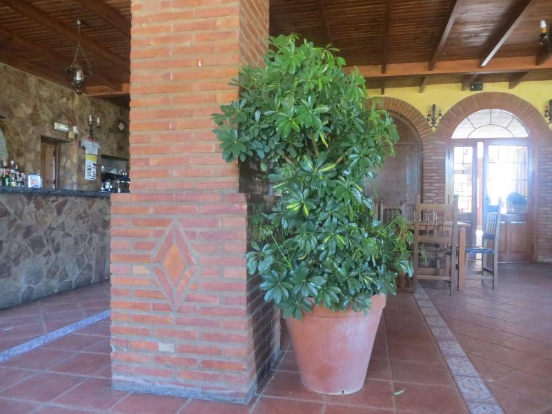 Imagen de alojamiento Hostal Restaurante Campo Abierto Imagen de alojamiento Hostal Restaurante Campo Abierto