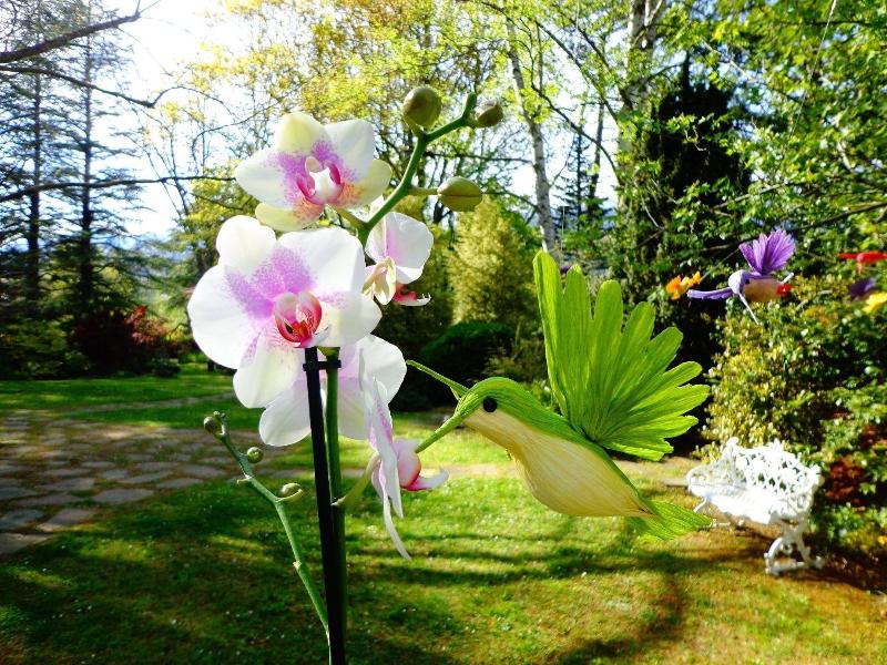 Imagen de alojamiento Satori B&B - Adults Only Imagen de alojamiento Satori B&B - Adults Only