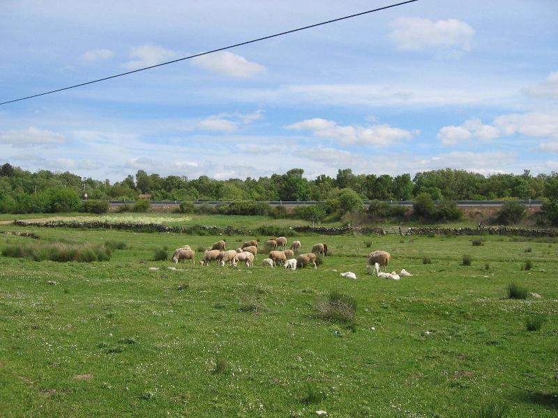Imagen de alojamiento Centro De Turismo Rural Lajafriz Imagen de alojamiento Centro De Turismo Rural Lajafriz