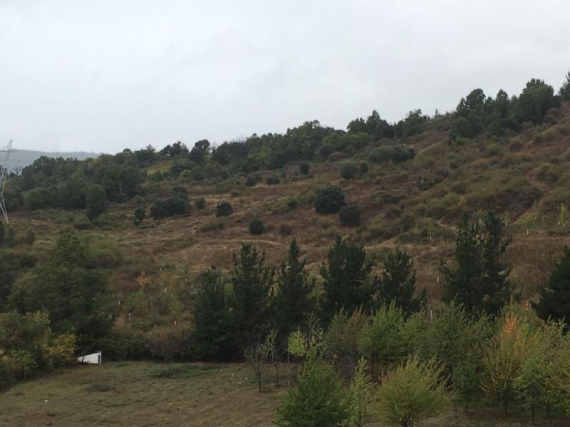 Imagen de alojamiento Nruta Ponferrada Imagen de alojamiento Nruta Ponferrada