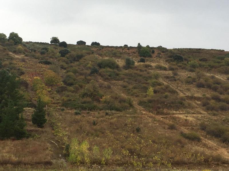 Imagen de alojamiento Nruta Ponferrada Imagen de alojamiento Nruta Ponferrada