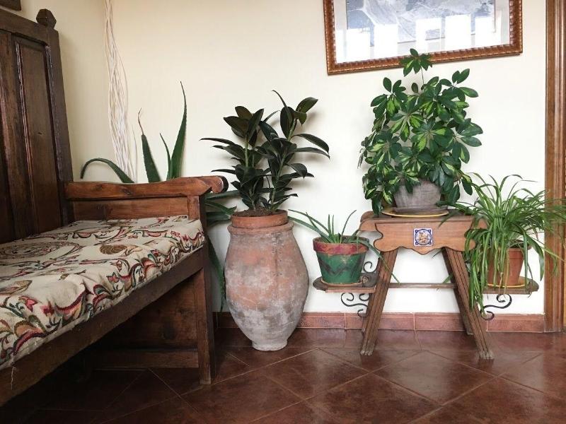 Imagen de alojamiento Posada De Zorita De Los Canes Imagen de alojamiento Posada De Zorita De Los Canes
