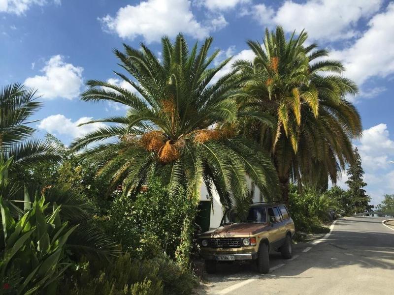 Imagen de alojamiento Cortijo La Huerta Imagen de alojamiento Cortijo La Huerta