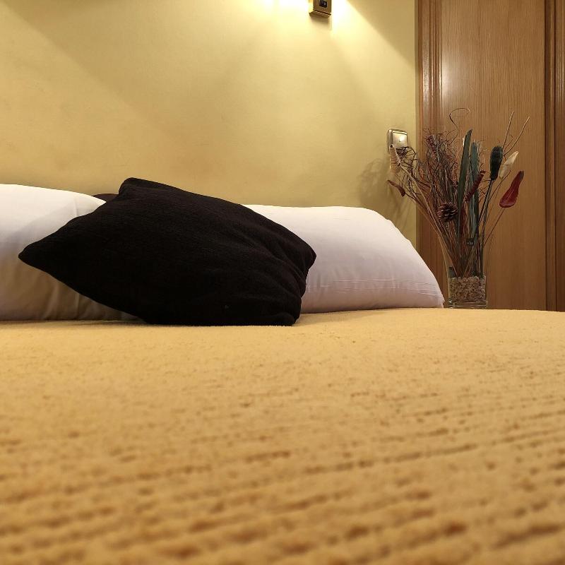 Imagen de alojamiento Hotel A Nieu Imagen de alojamiento Hotel A Nieu