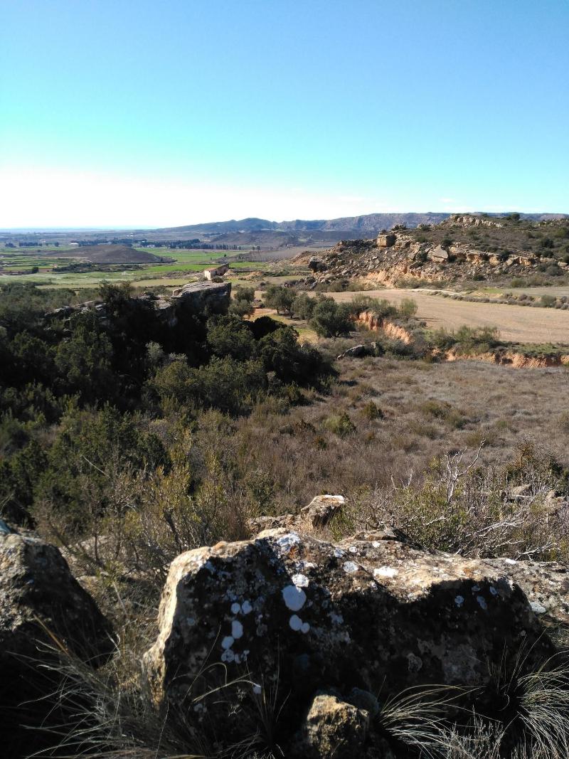 Imagen de alojamiento Casa Rural Los Pinos Imagen de alojamiento Casa Rural Los Pinos