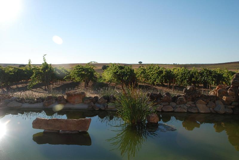 Imagen de alojamiento Hotel Rural Teso De La Encina Imagen de alojamiento Hotel Rural Teso De La Encina