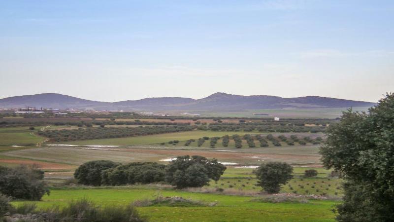 Imagen de alojamiento Casa Rural Alonso Quijano El Bueno Imagen de alojamiento Casa Rural Alonso Quijano El Bueno