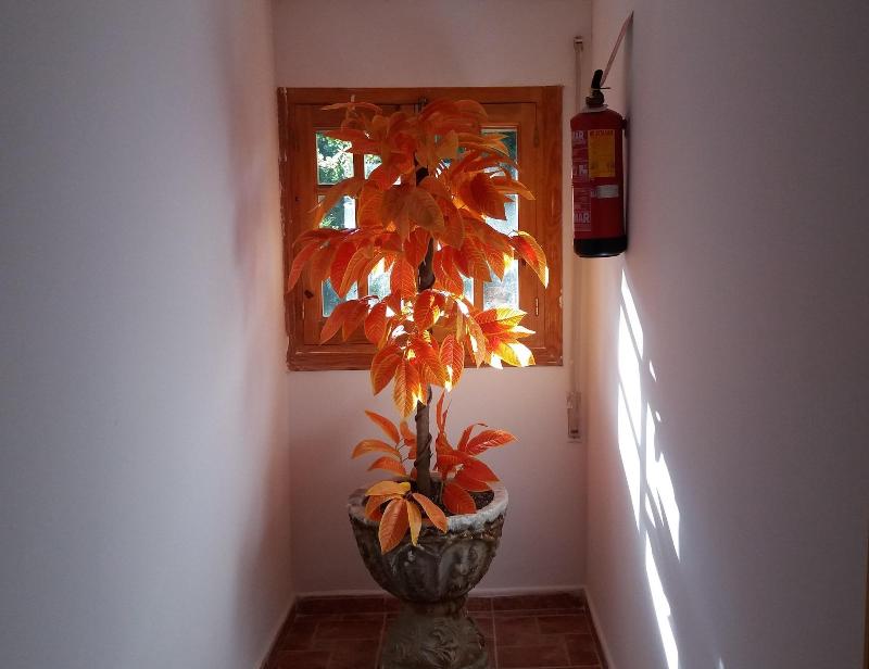 Imagen de alojamiento Hostal Rural Valverde Imagen de alojamiento Hostal Rural Valverde